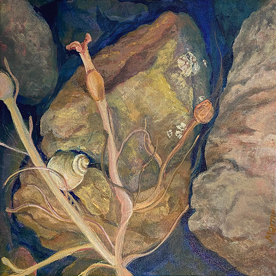 Marnie Sinclair, acrylic painting, "Discovery"