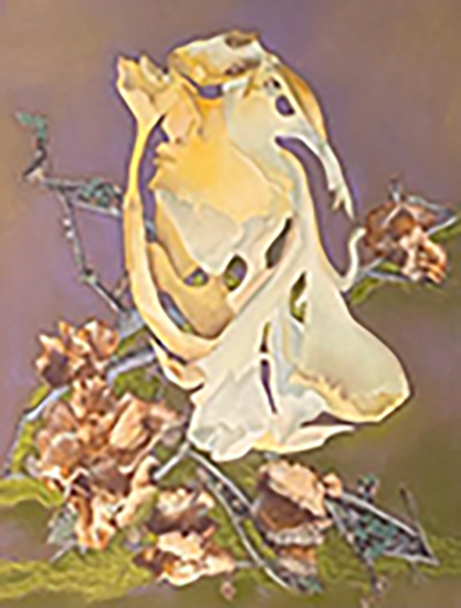 Marnie Sinclair miced media piece "The Connector"